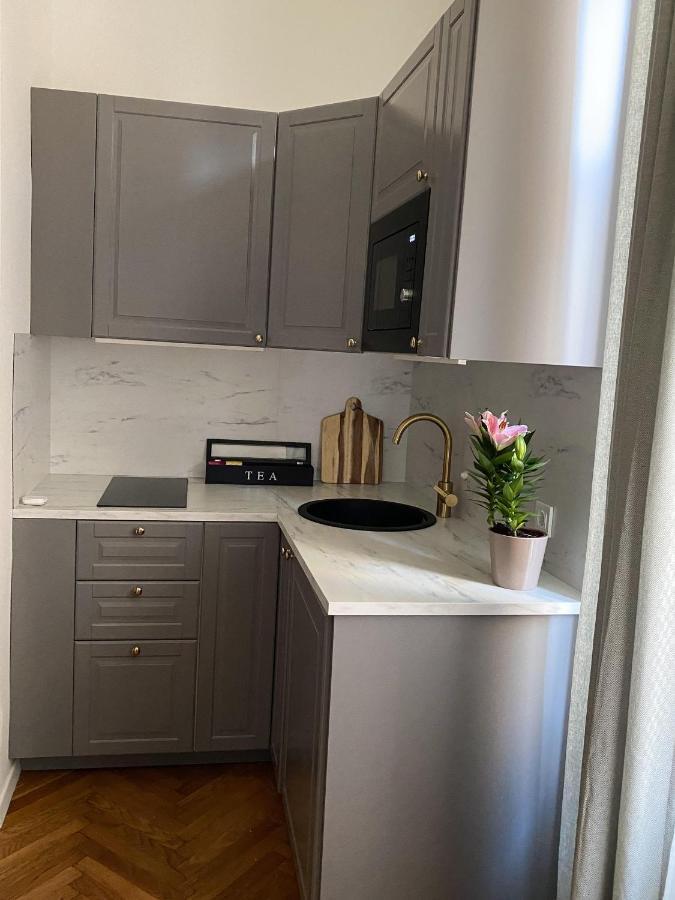 Apartments Park Zrinjevac 萨格勒布 外观 照片